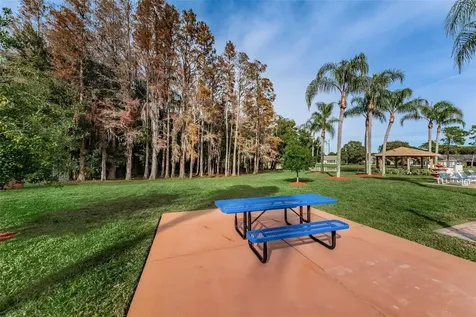 9427 Cape Charles Avenue New Port Richey FL 34655