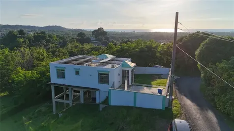 Km 4.8 Calle Pascual Nieves Rincon PR 00677