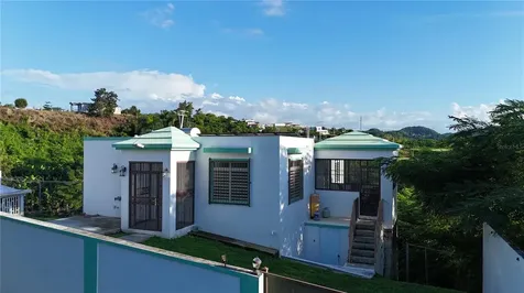 Km 4.8 Calle Pascual Nieves Rincon PR 00677