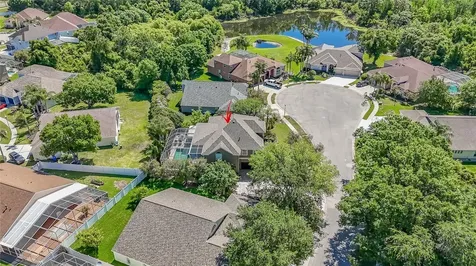 10408 Riverburn Drive Tampa FL 33647