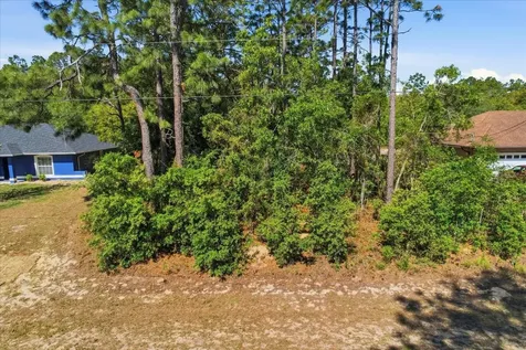 7672 N Cricket Drive Citrus Springs FL 34434