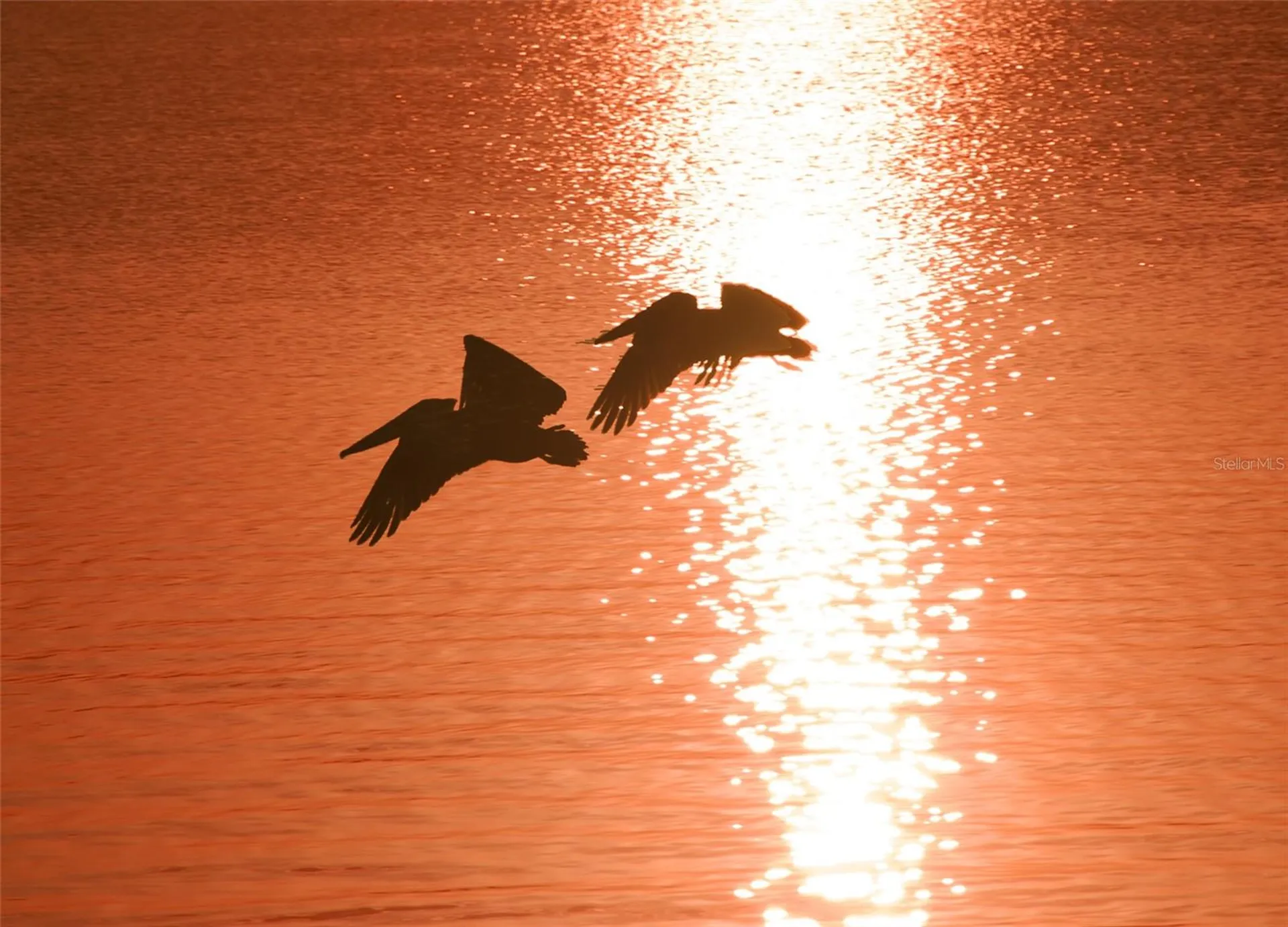 1601 Pelican Point Drive Sarasota FL 34231