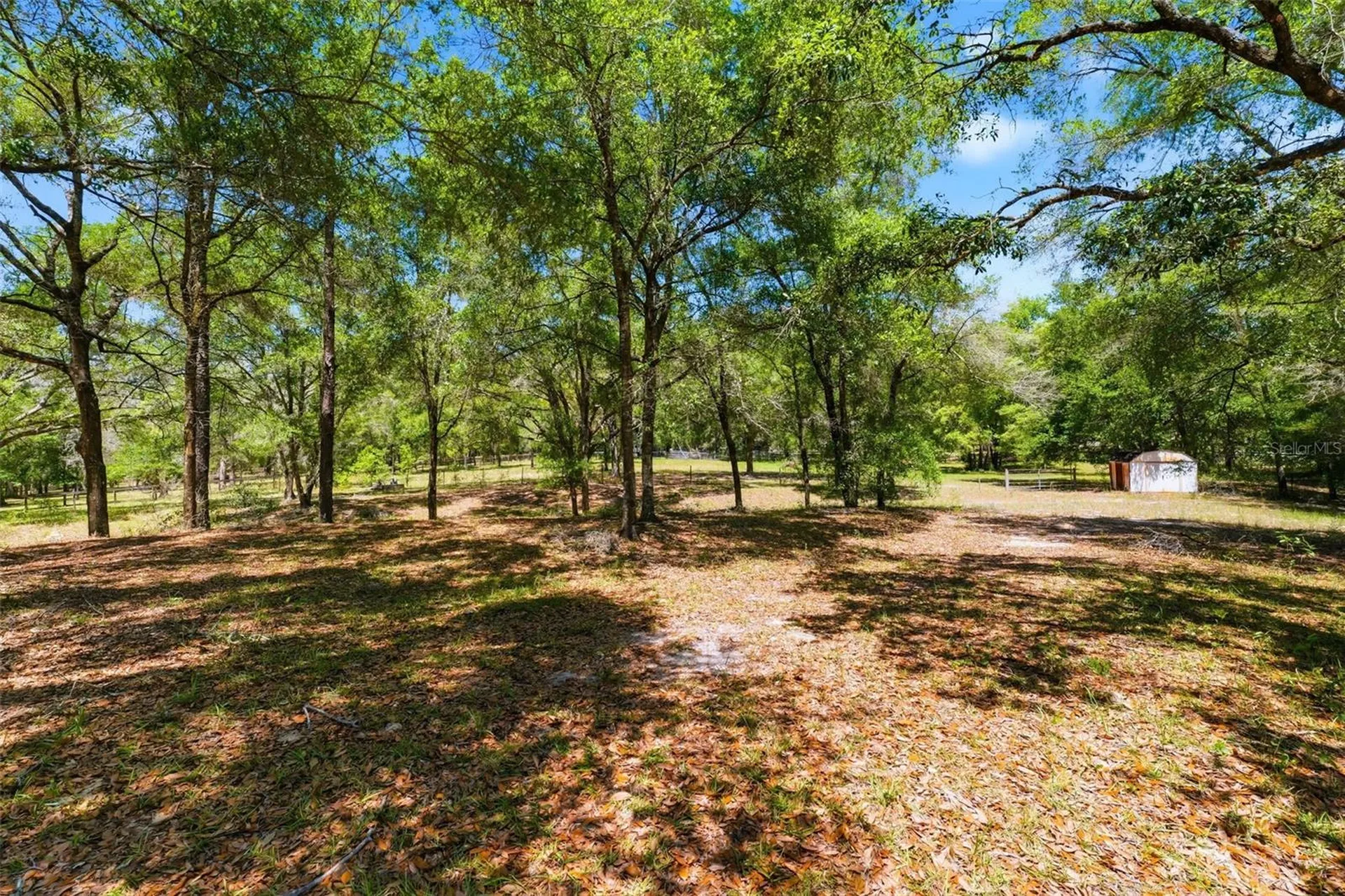 26331 Blackjack Street Brooksville FL 34601