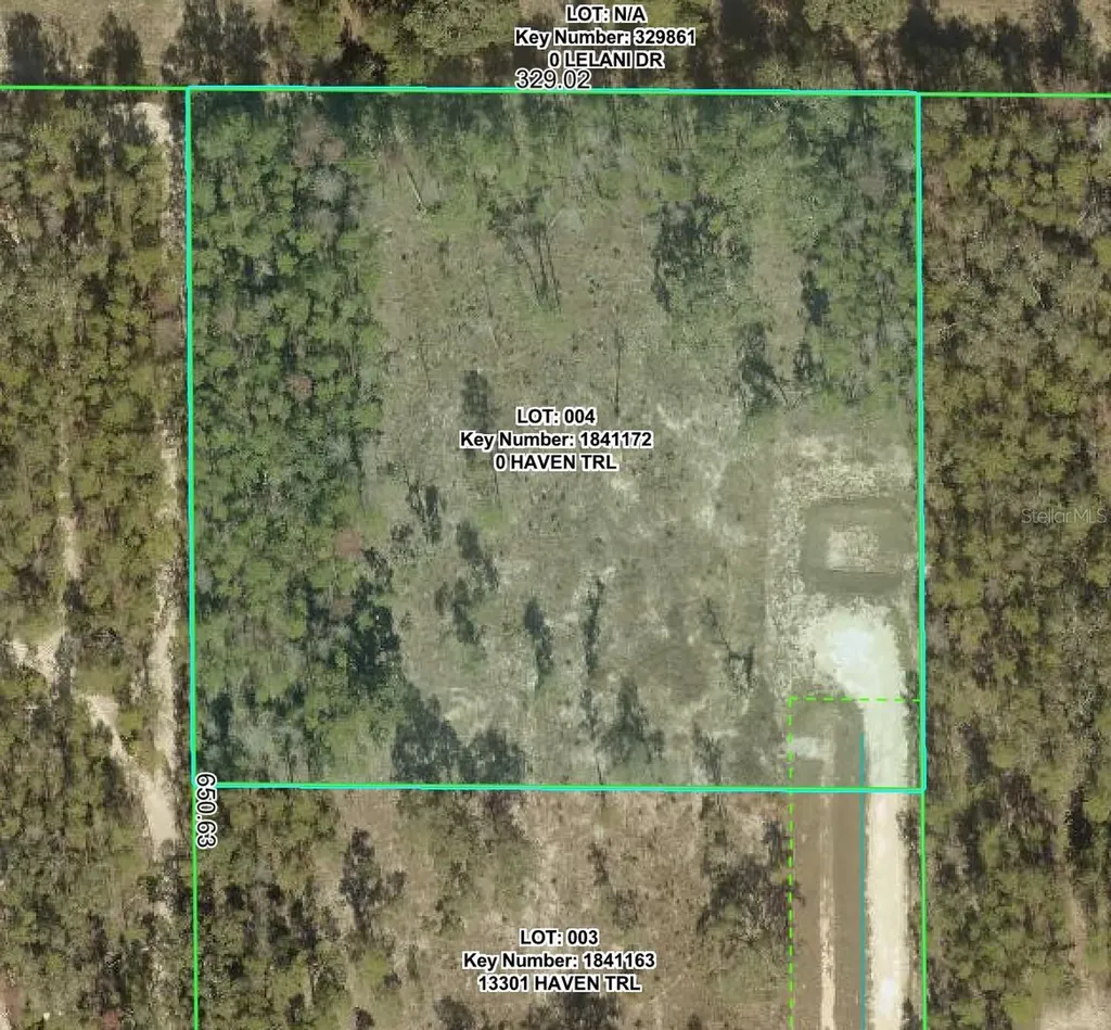 13331 Haven (lot 4) Trail Weeki Wachee FL 34614