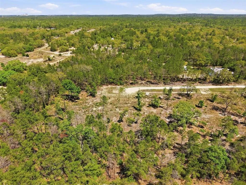 13331 Haven (lot 4) Trail Weeki Wachee FL 34614