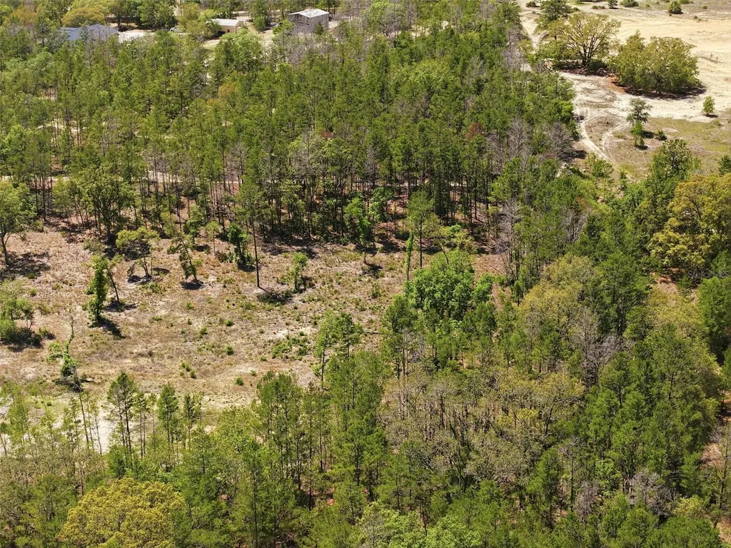 13331 Haven (lot 4) Trail Weeki Wachee FL 34614