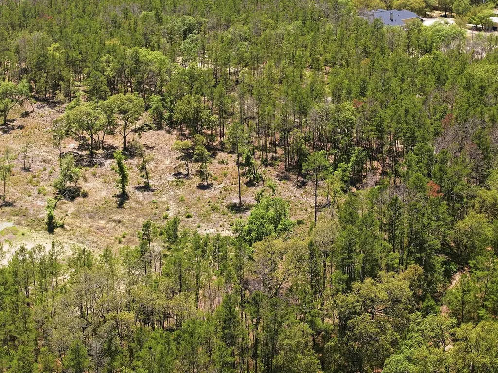 13331 Haven (lot 4) Trail Weeki Wachee FL 34614