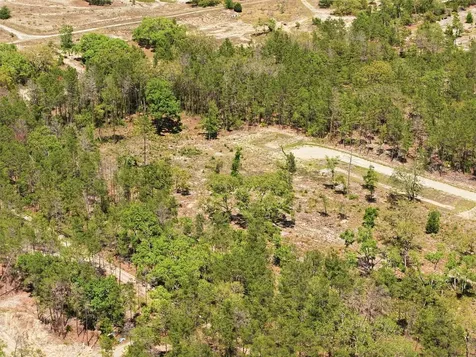 13331 Haven (lot 4) Trail Weeki Wachee FL 34614