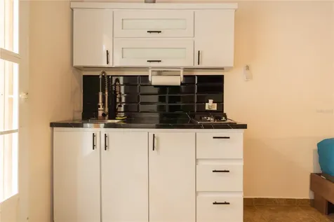 411 Lirios Rincon PR 00677