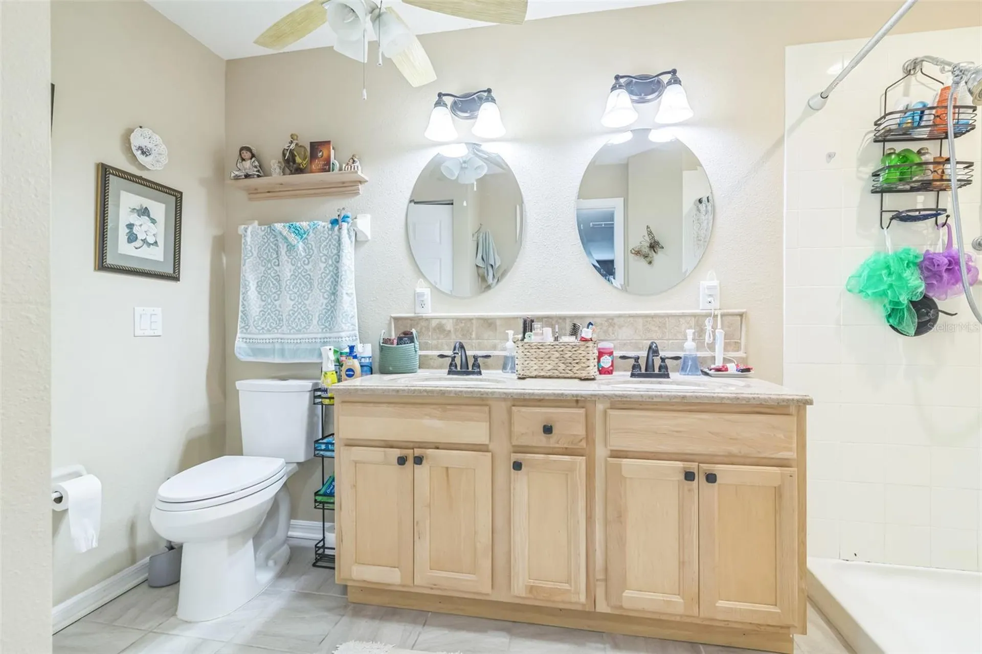 9107 SW 102nd Circle Ocala FL 34481