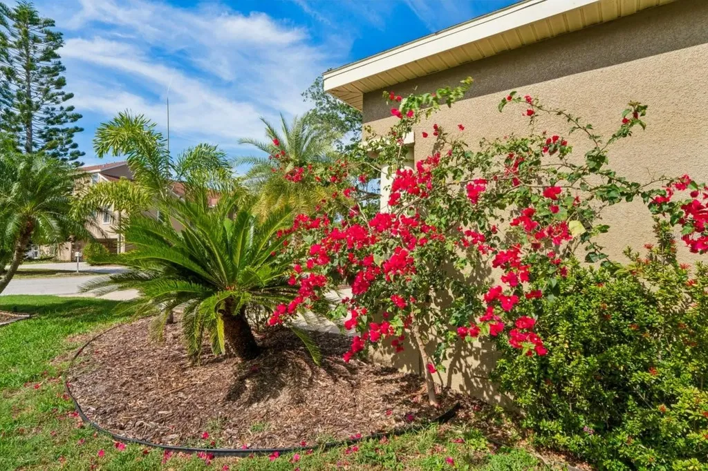 7340 Brightwaters Court New Port Richey FL 34652