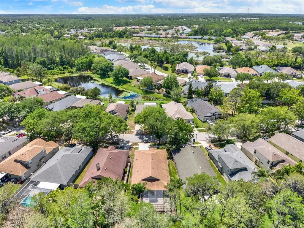 7642 Citrus Blossom Drive Land O Lakes FL 34637