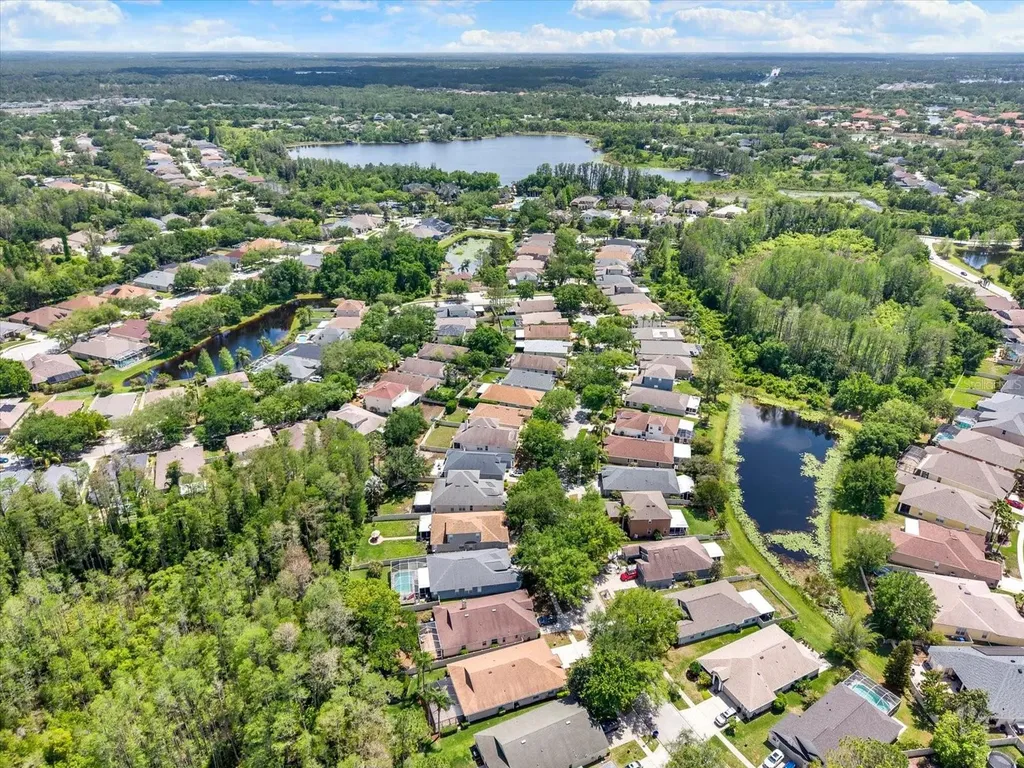 7642 Citrus Blossom Drive Land O Lakes FL 34637