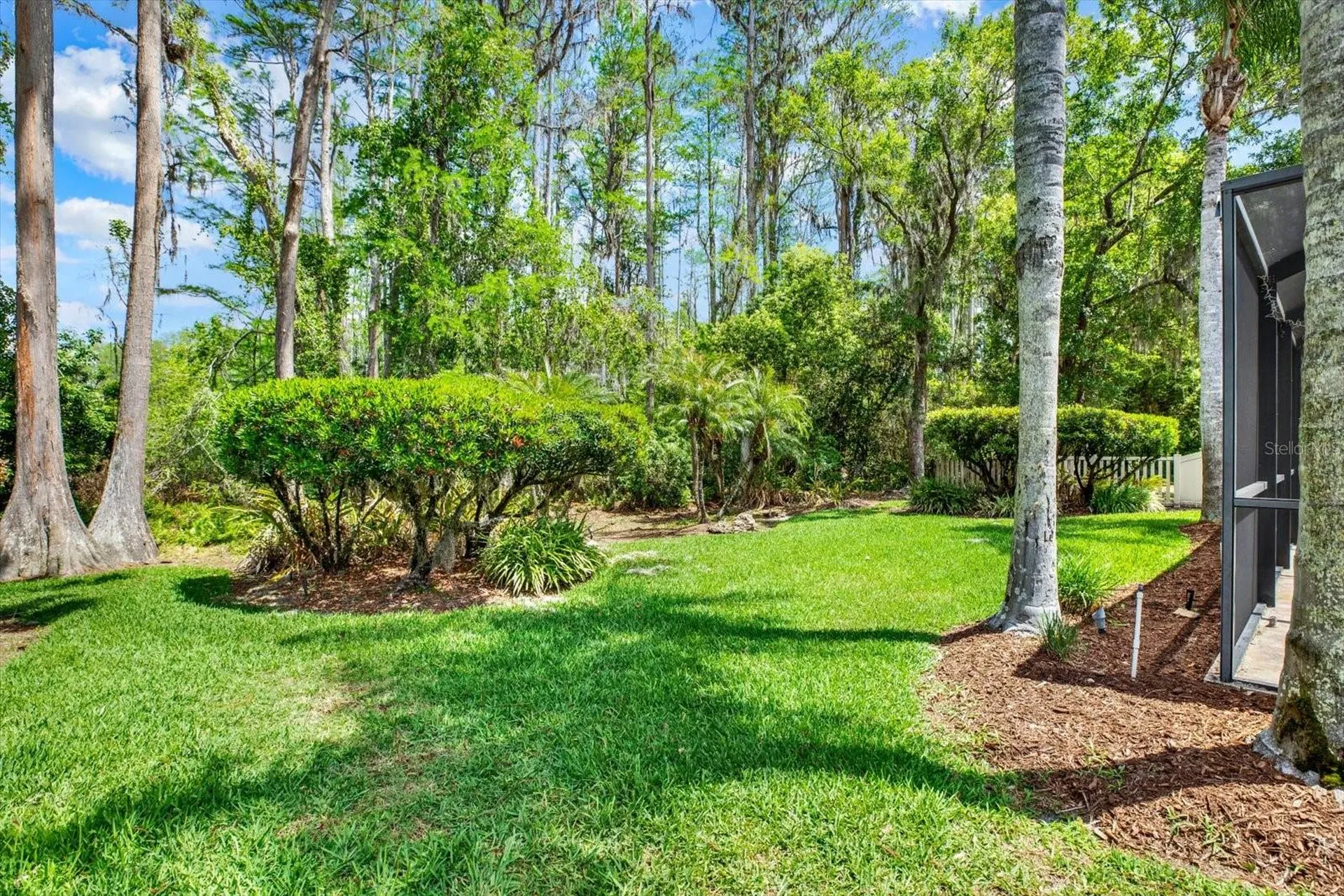 7642 Citrus Blossom Drive Land O Lakes FL 34637