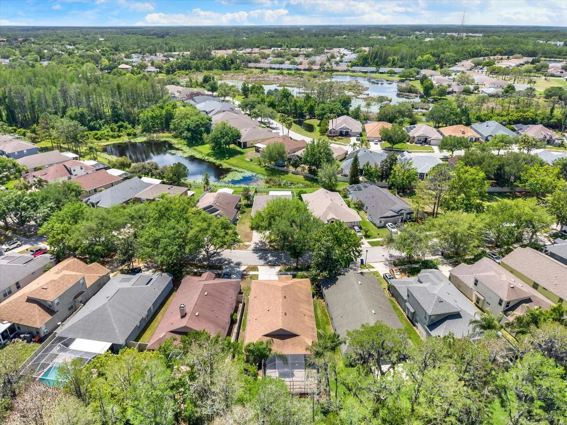 7642 Citrus Blossom Drive Land O Lakes FL 34637