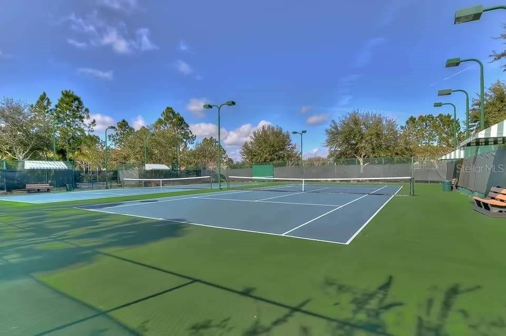 7642 Citrus Blossom Drive Land O Lakes FL 34637