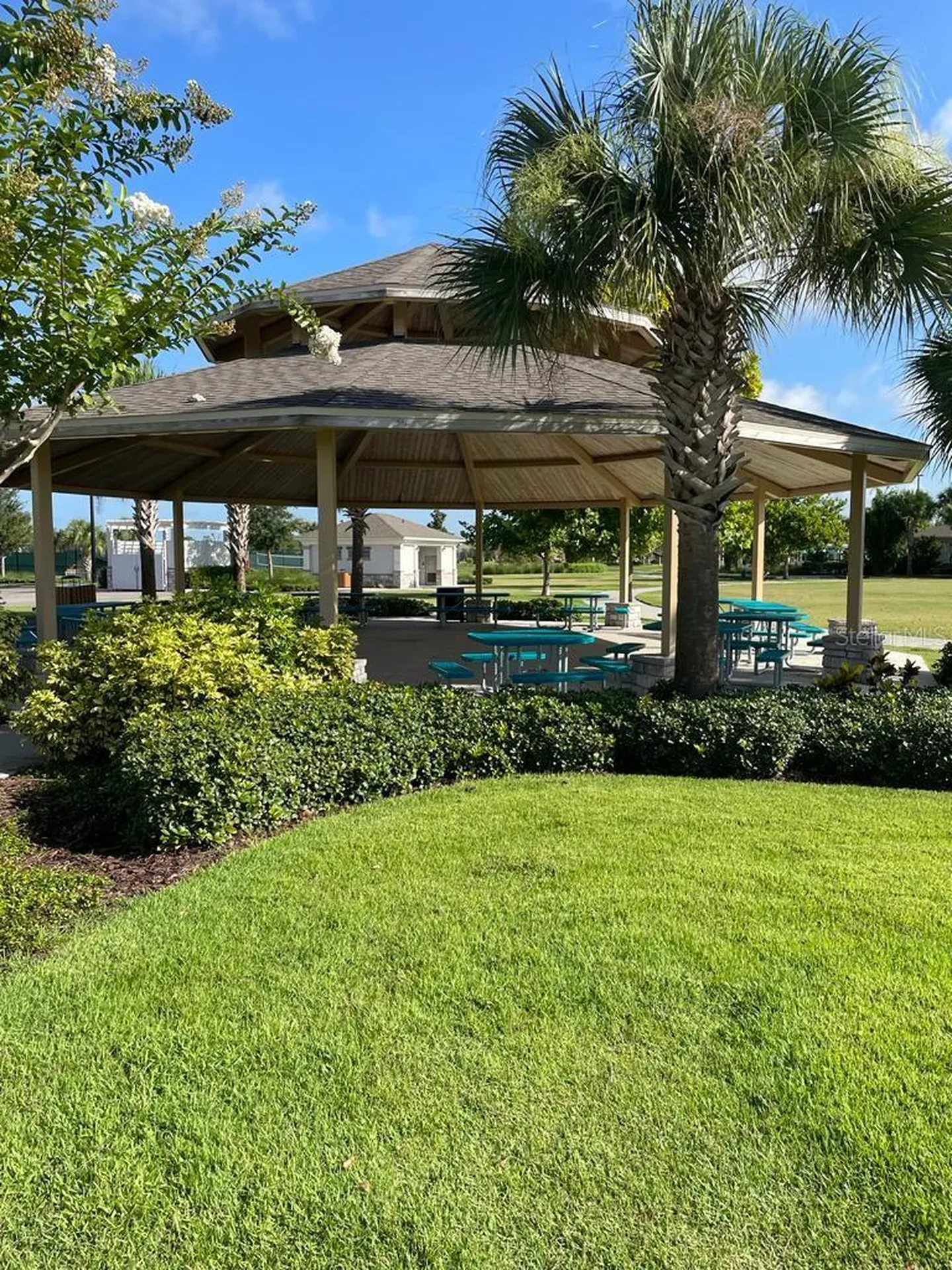 10042 Salt Point Drive Winter Garden FL 34787