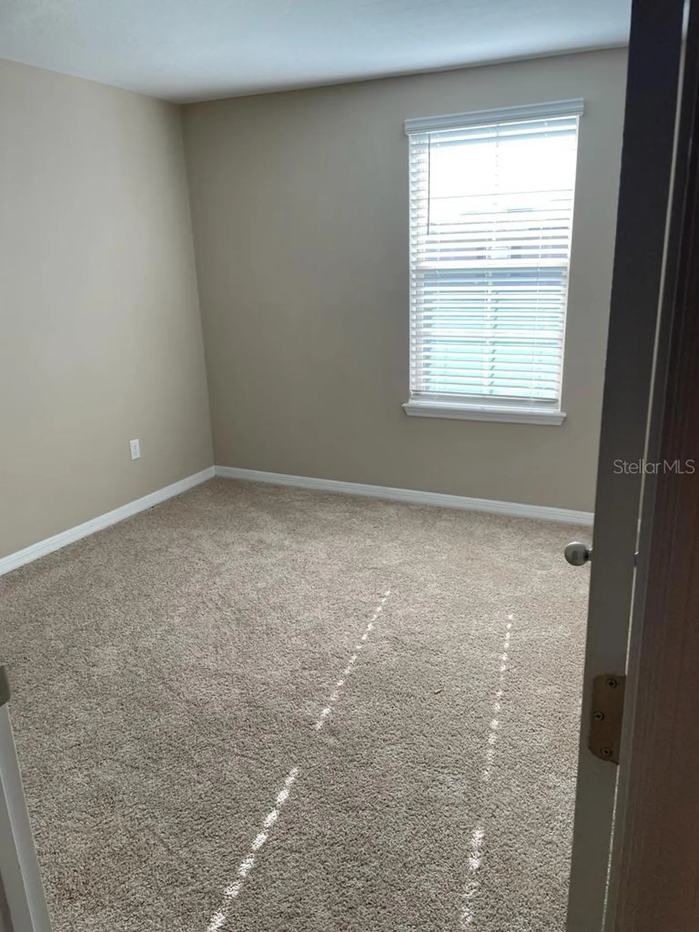 10042 Salt Point Drive Winter Garden FL 34787