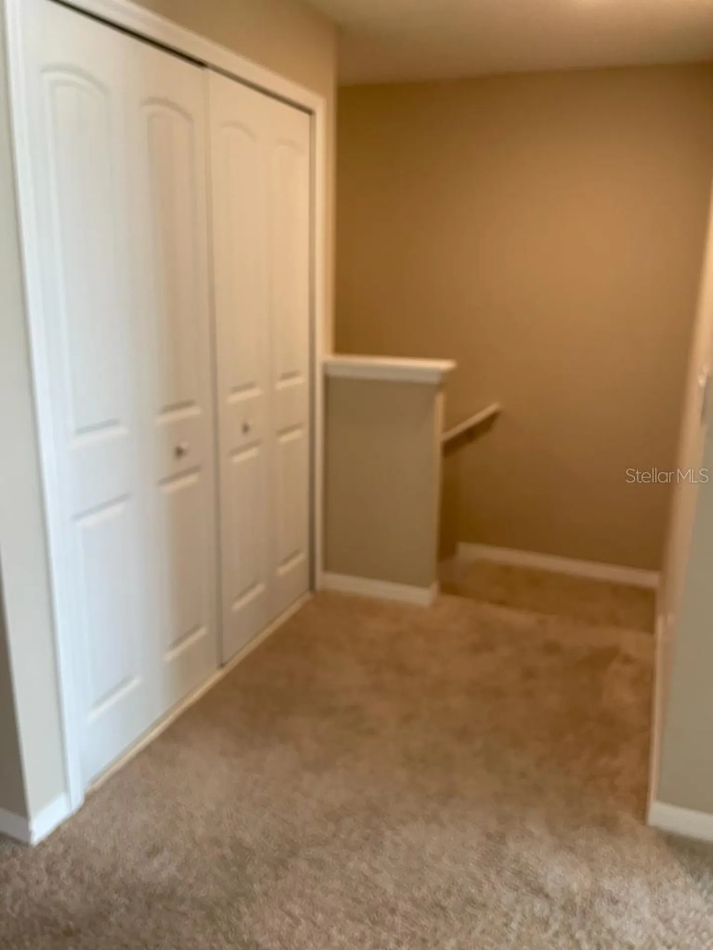 10042 Salt Point Drive Winter Garden FL 34787