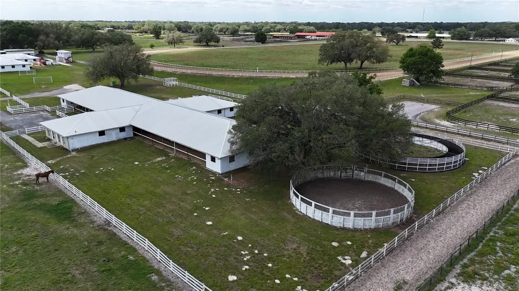 4450 SE 216th Avenue Morriston FL 32668