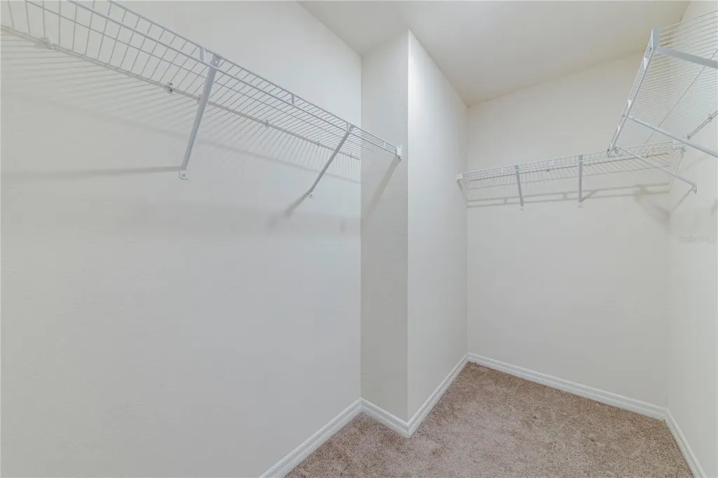 34026 Soaring Bamboo Path Wesley Chapel FL 33543
