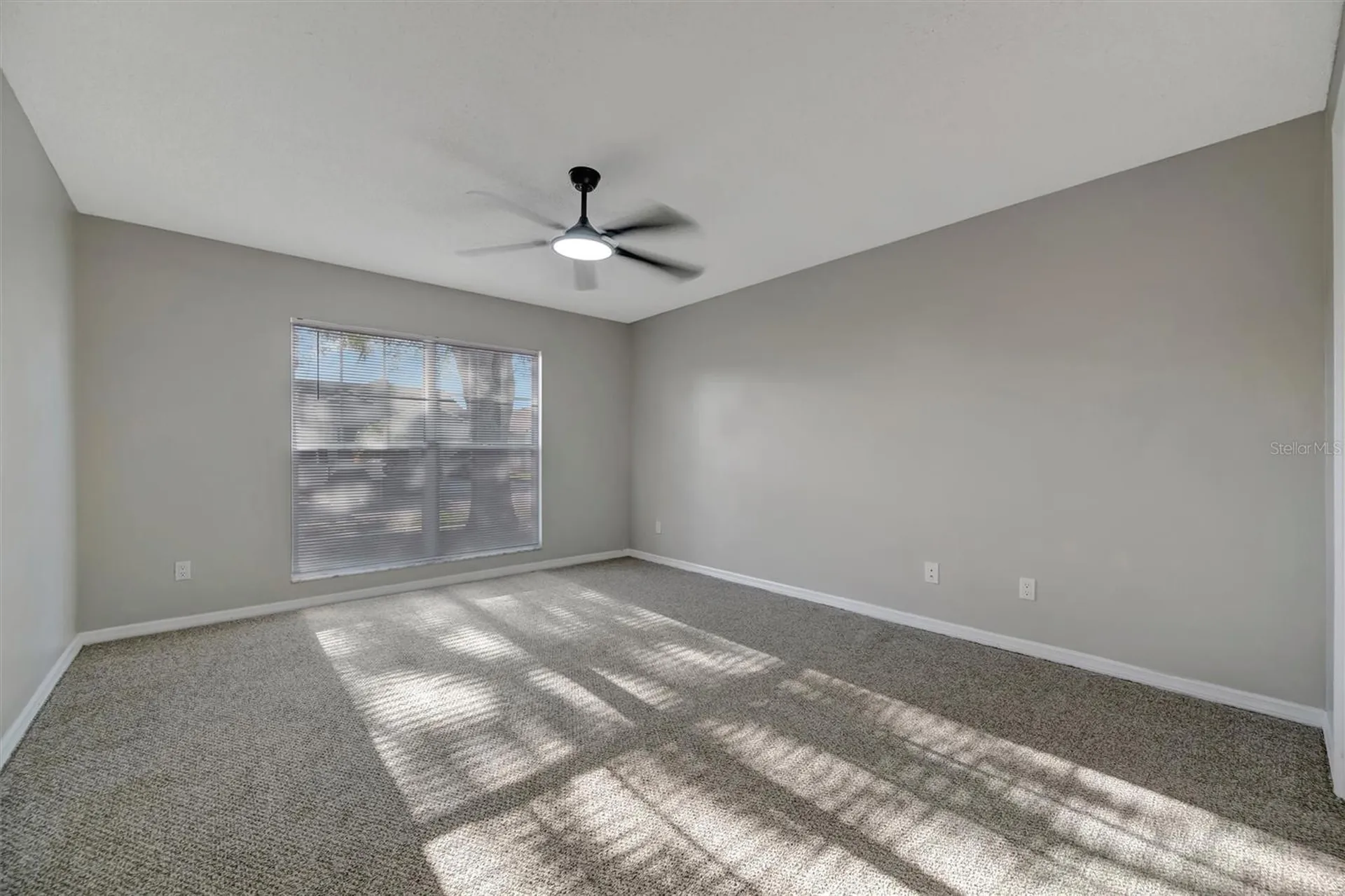 9022 Sheldon Chase Drive Tampa FL 33635