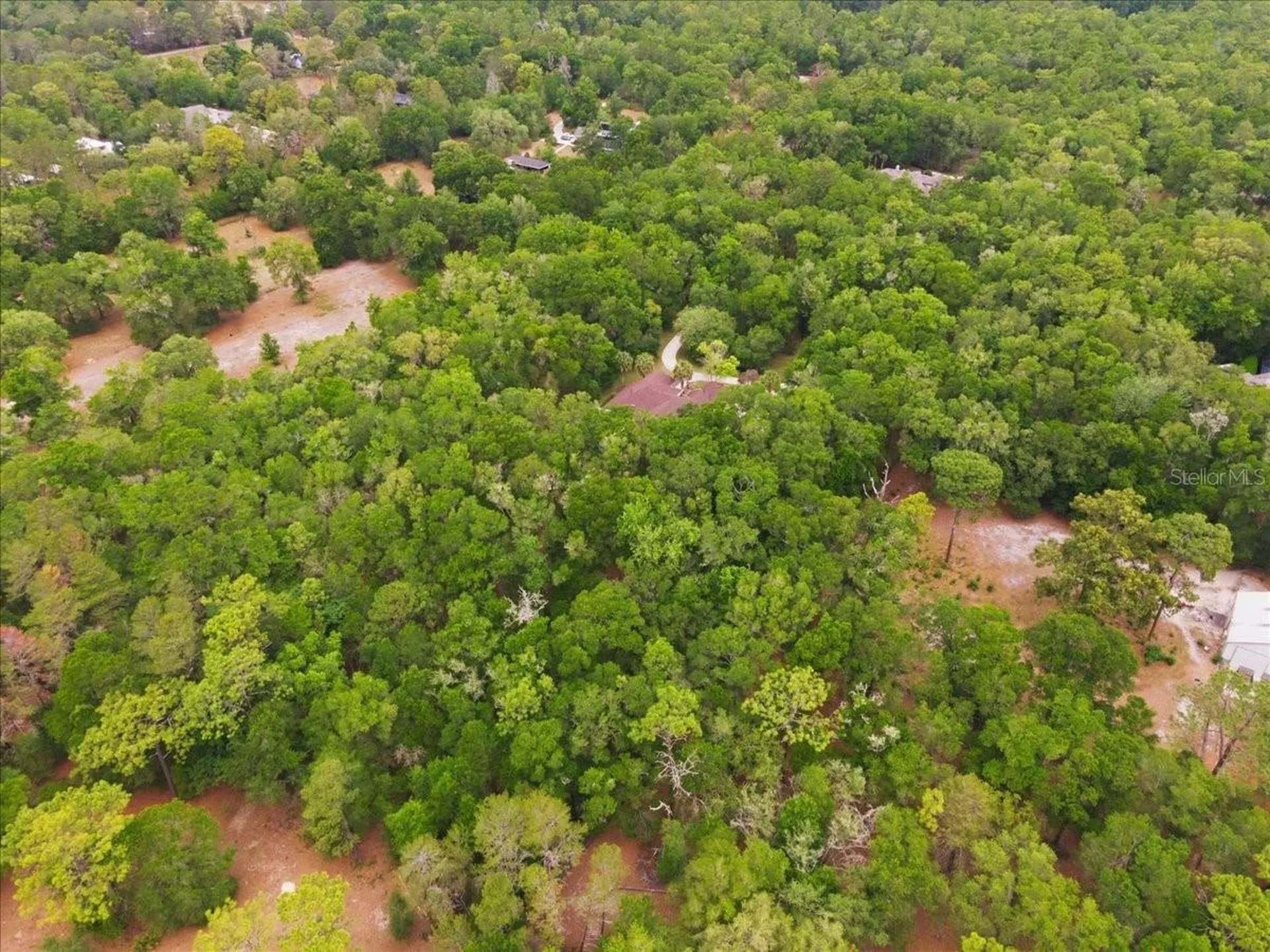 7077 SW 93rd Avenue Gainesville FL 32608