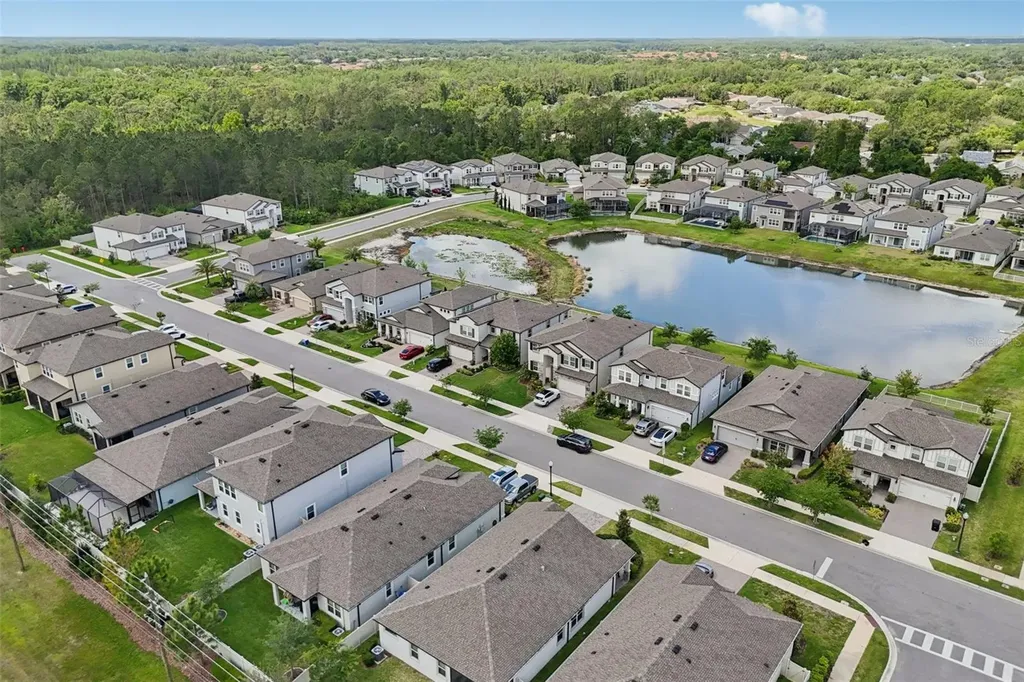 7114 Gulf Cypress Avenue Land O Lakes FL 34637