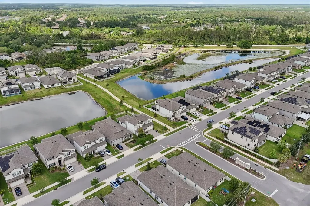7114 Gulf Cypress Avenue Land O Lakes FL 34637