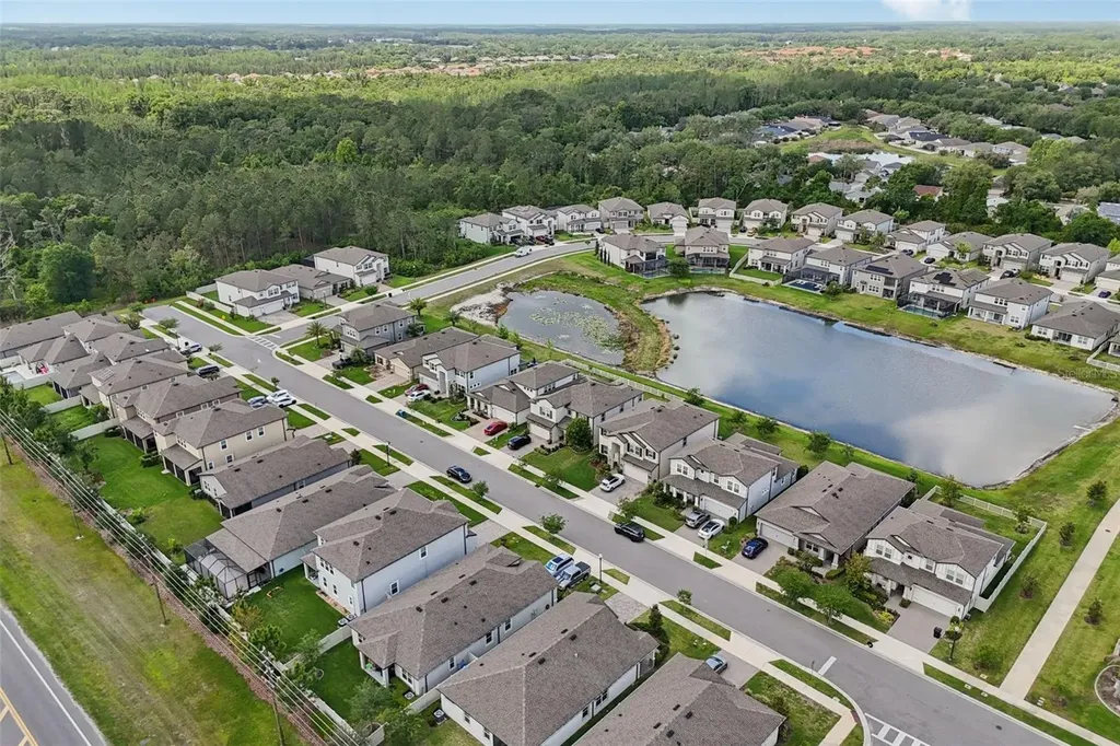 7114 Gulf Cypress Avenue Land O Lakes FL 34637