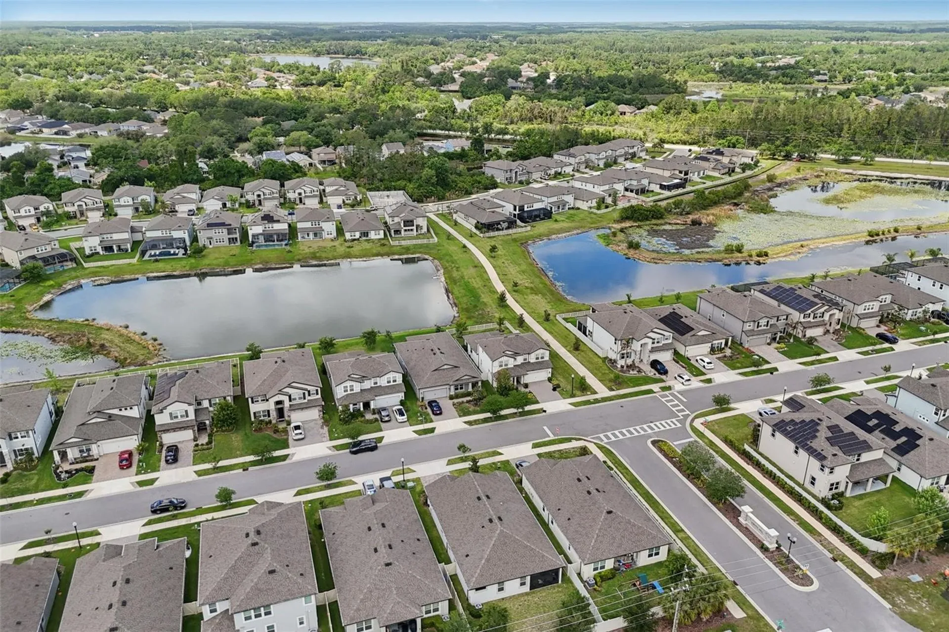 7114 Gulf Cypress Avenue Land O Lakes FL 34637
