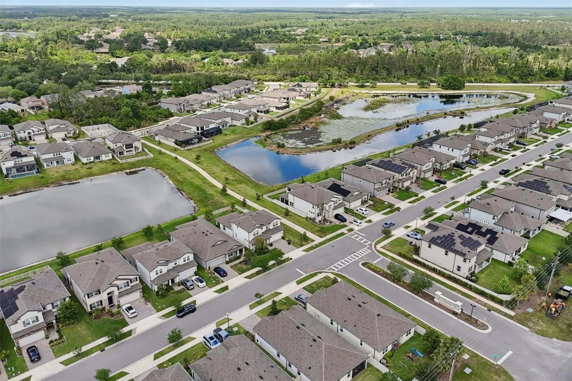 7114 Gulf Cypress Avenue Land O Lakes FL 34637
