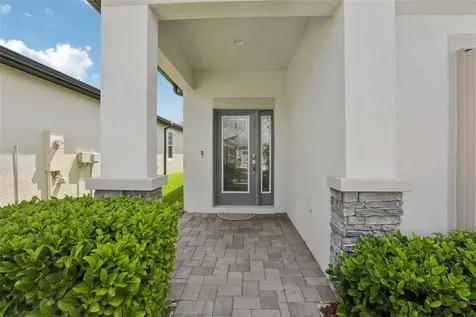 7114 Gulf Cypress Avenue Land O Lakes FL 34637