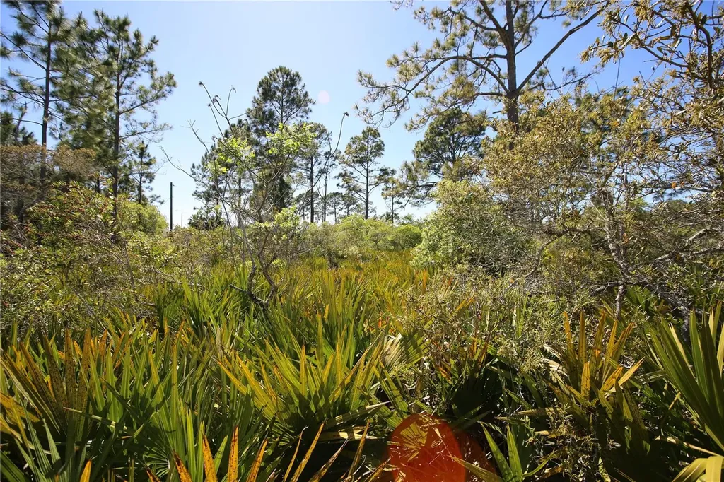 5 Seriema Court Palm Coast FL 32164