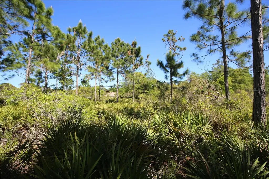 5 Seriema Court Palm Coast FL 32164