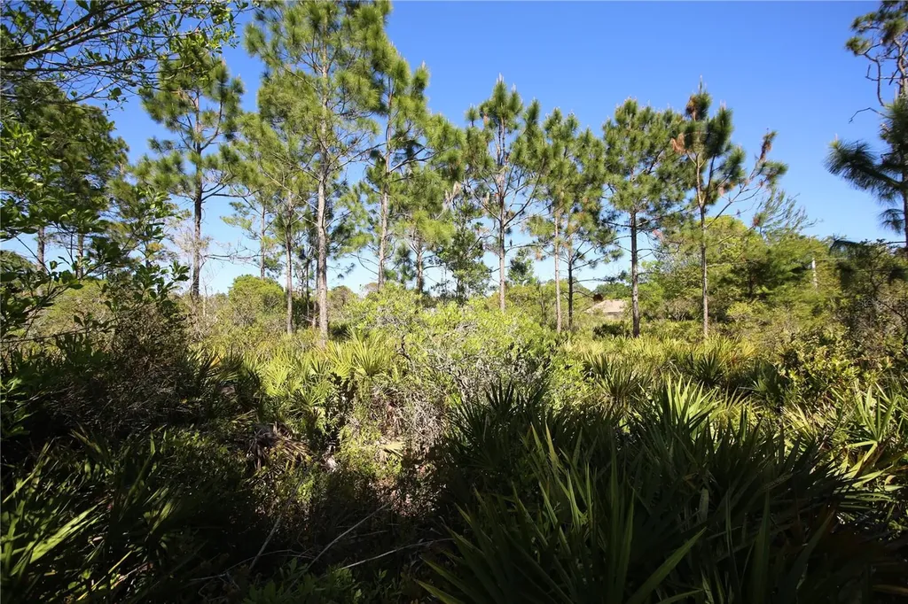 5 Seriema Court Palm Coast FL 32164