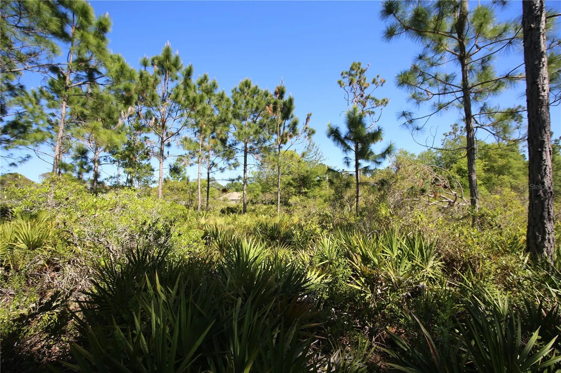 5 Seriema Court Palm Coast FL 32164