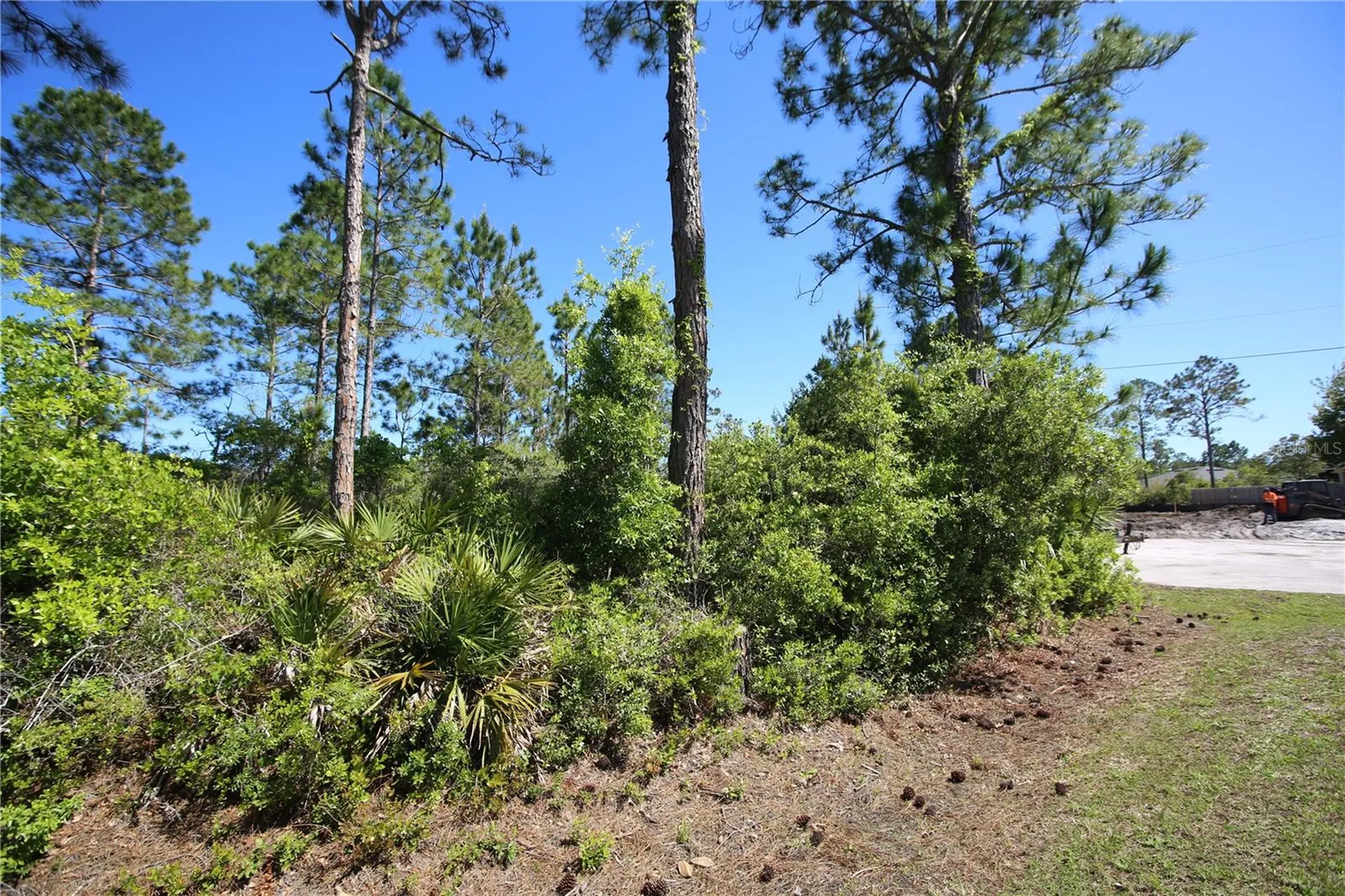 5 Seriema Court Palm Coast FL 32164