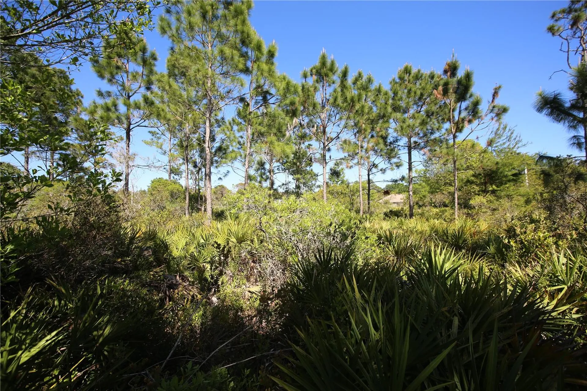 5 Seriema Court Palm Coast FL 32164