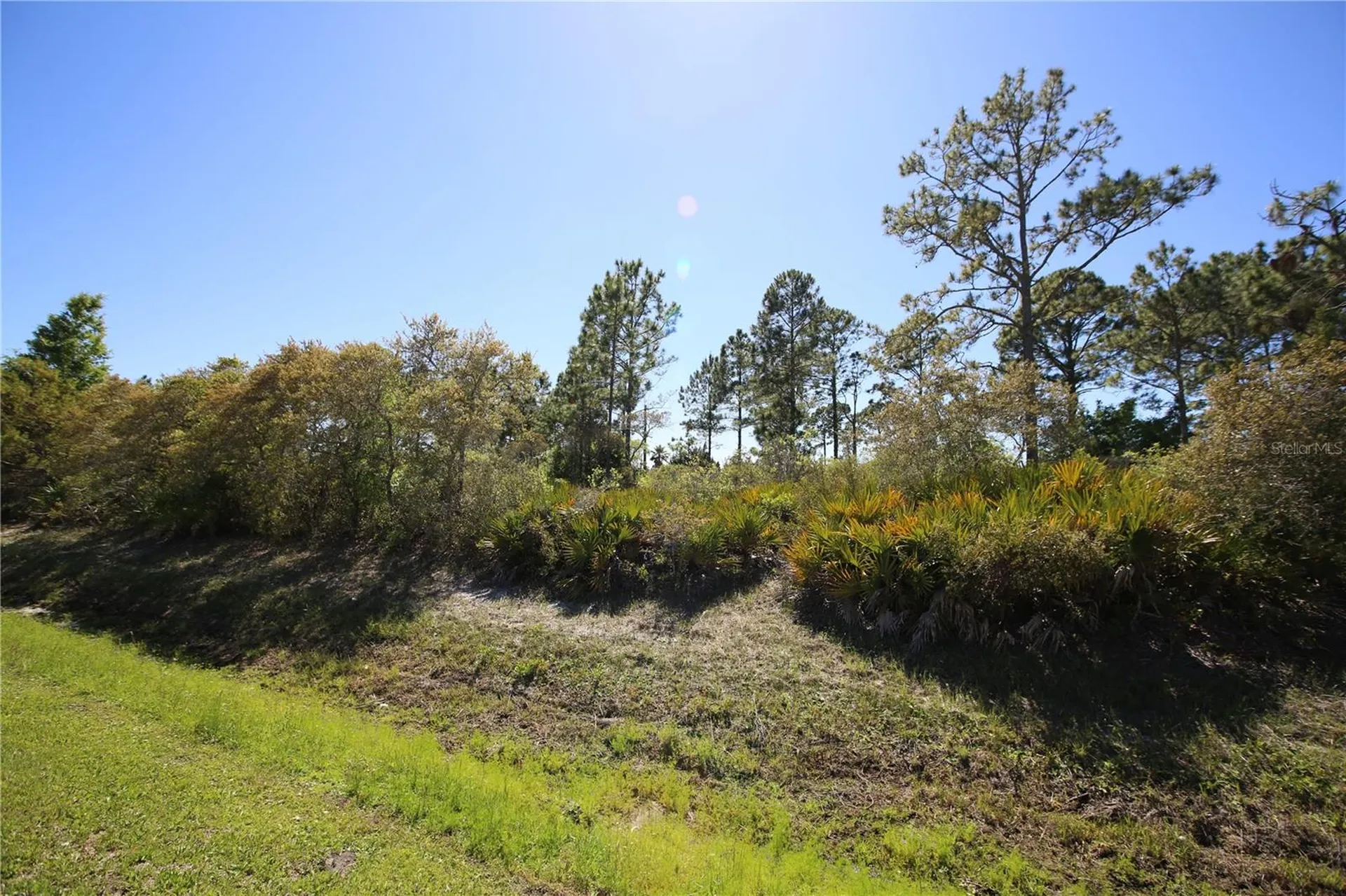 5 Seriema Court Palm Coast FL 32164