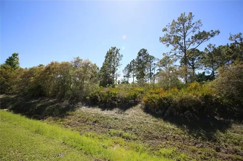 5 Seriema Court Palm Coast FL 32164