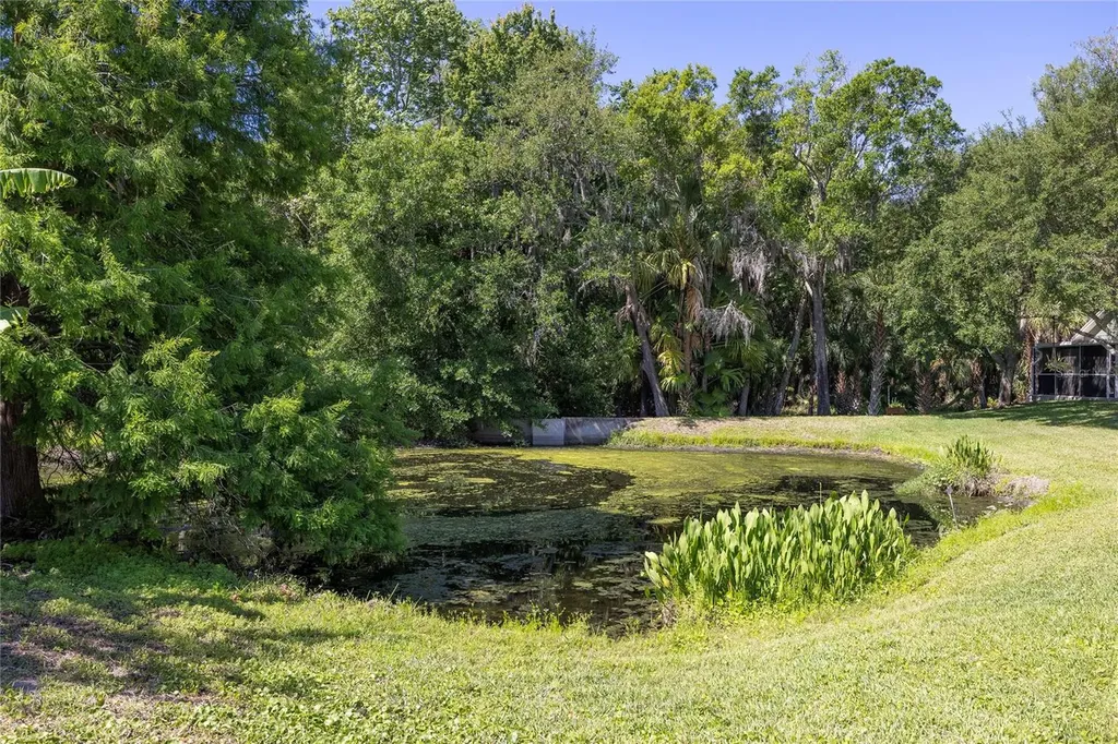219 Bay Arbor Boulevard Oldsmar FL 34677