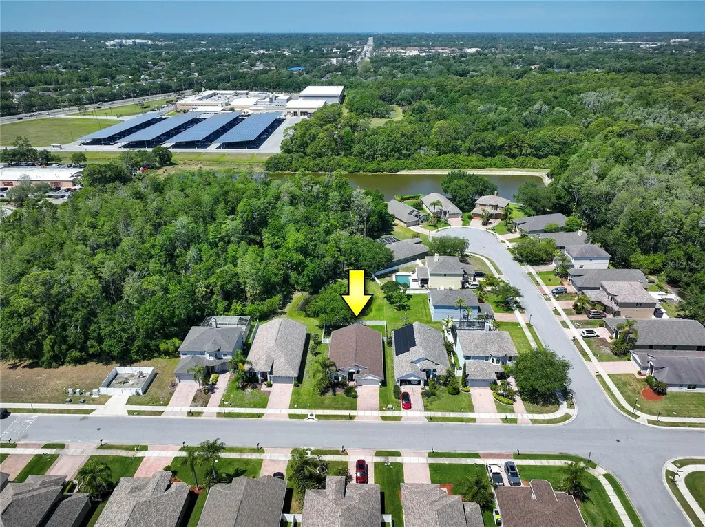 219 Bay Arbor Boulevard Oldsmar FL 34677