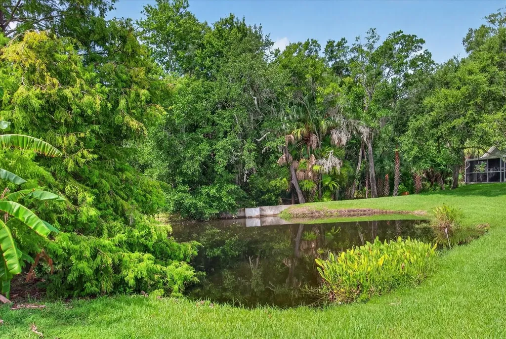 219 Bay Arbor Boulevard Oldsmar FL 34677