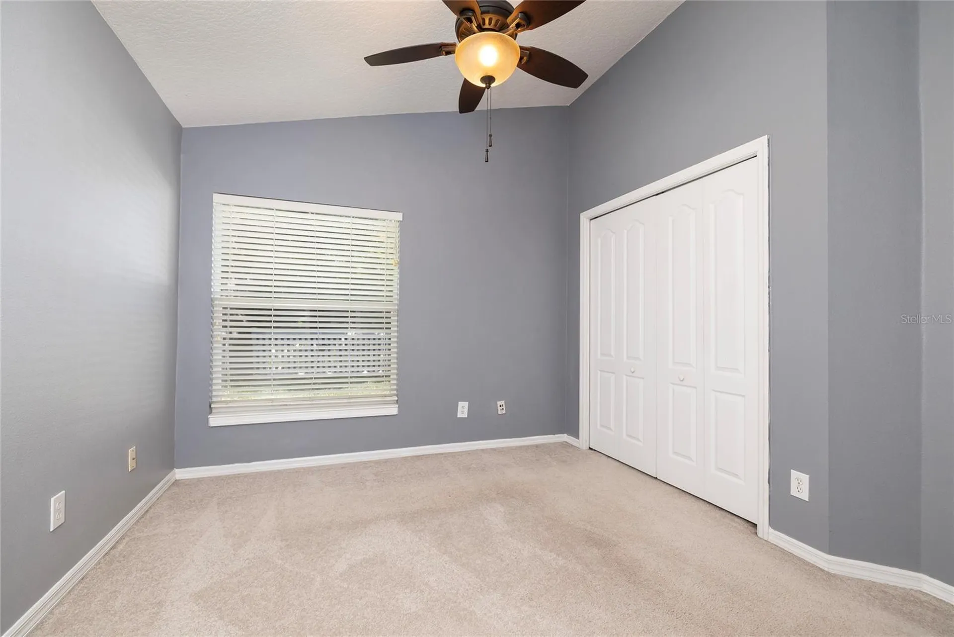 219 Bay Arbor Boulevard Oldsmar FL 34677