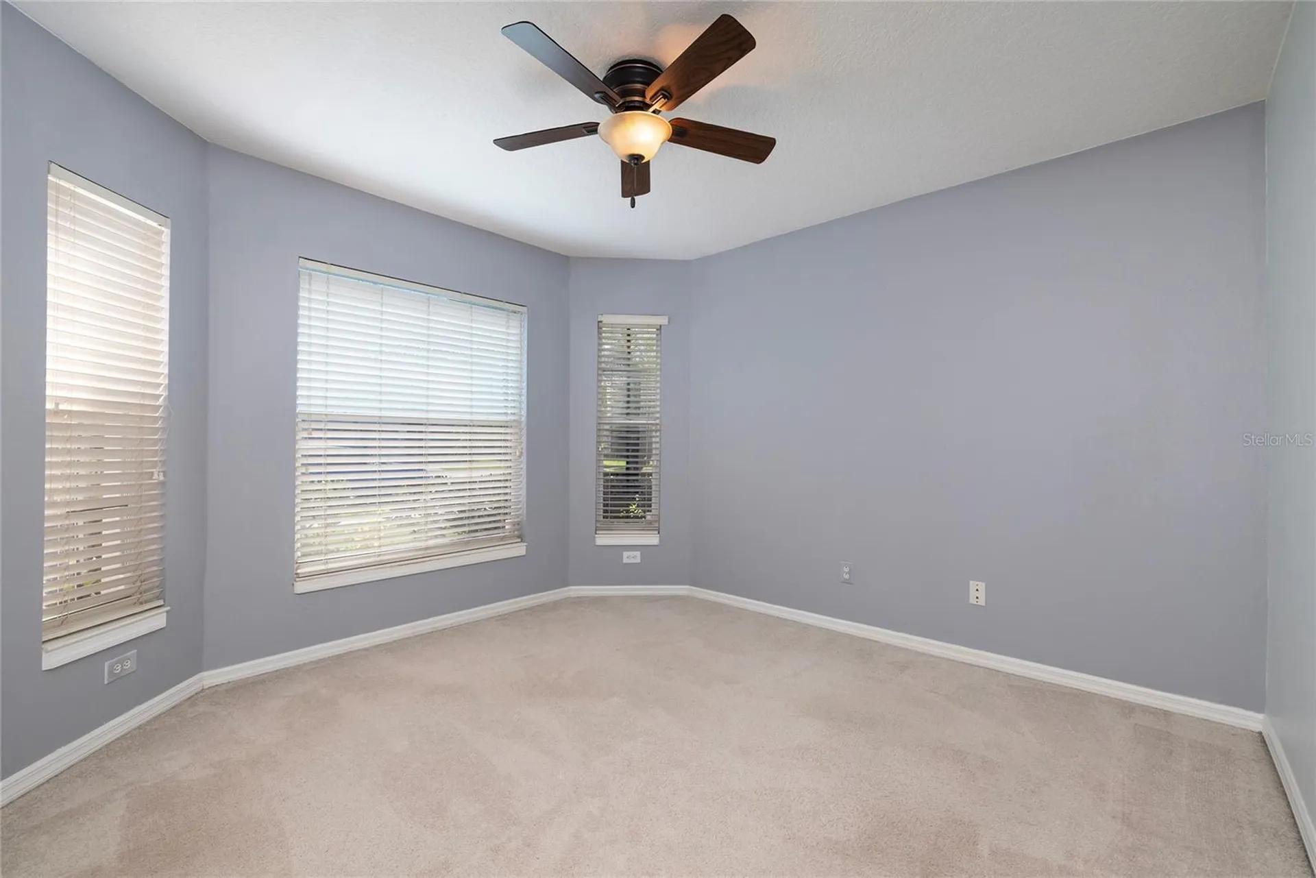 219 Bay Arbor Boulevard Oldsmar FL 34677