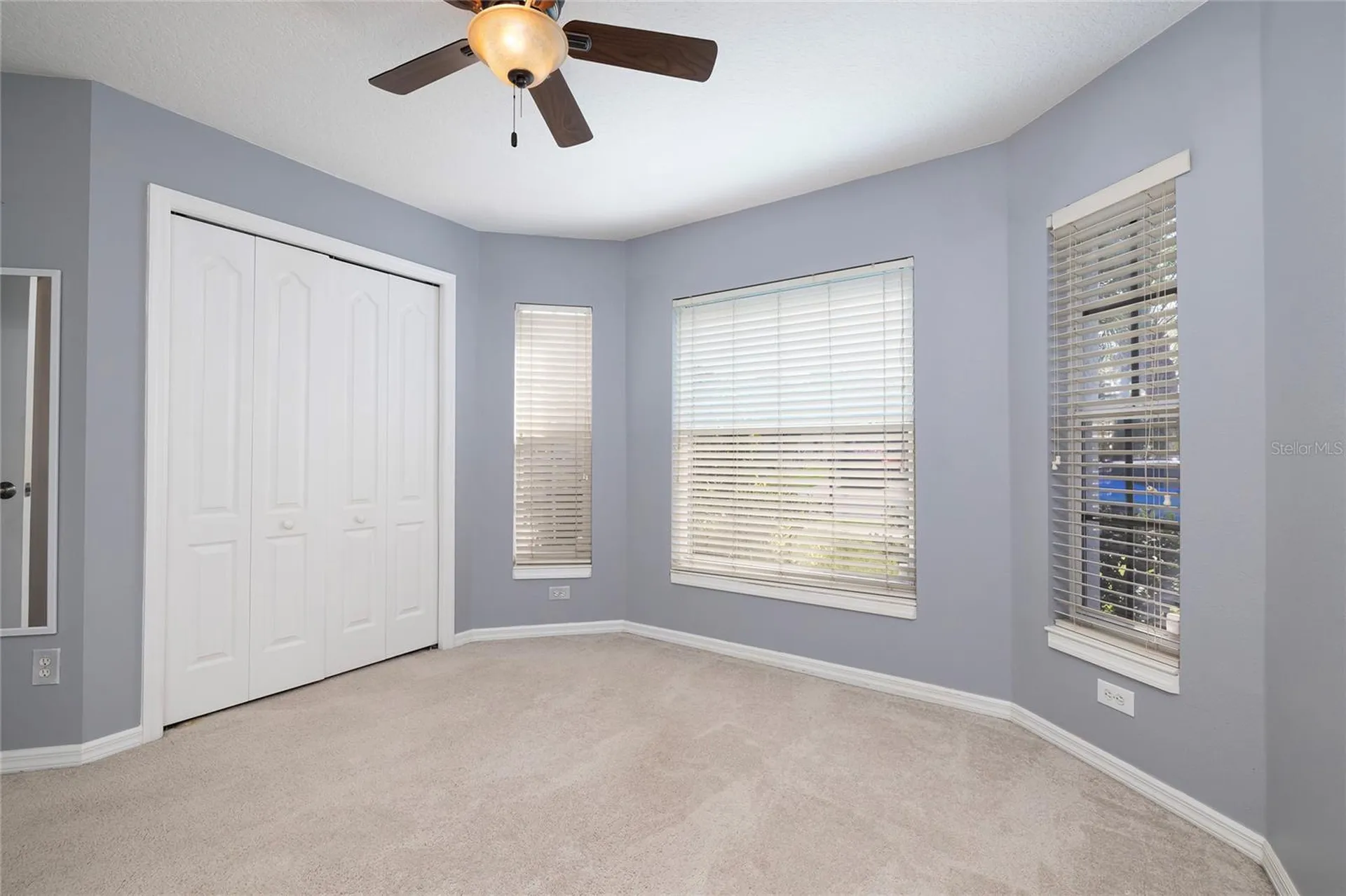 219 Bay Arbor Boulevard Oldsmar FL 34677