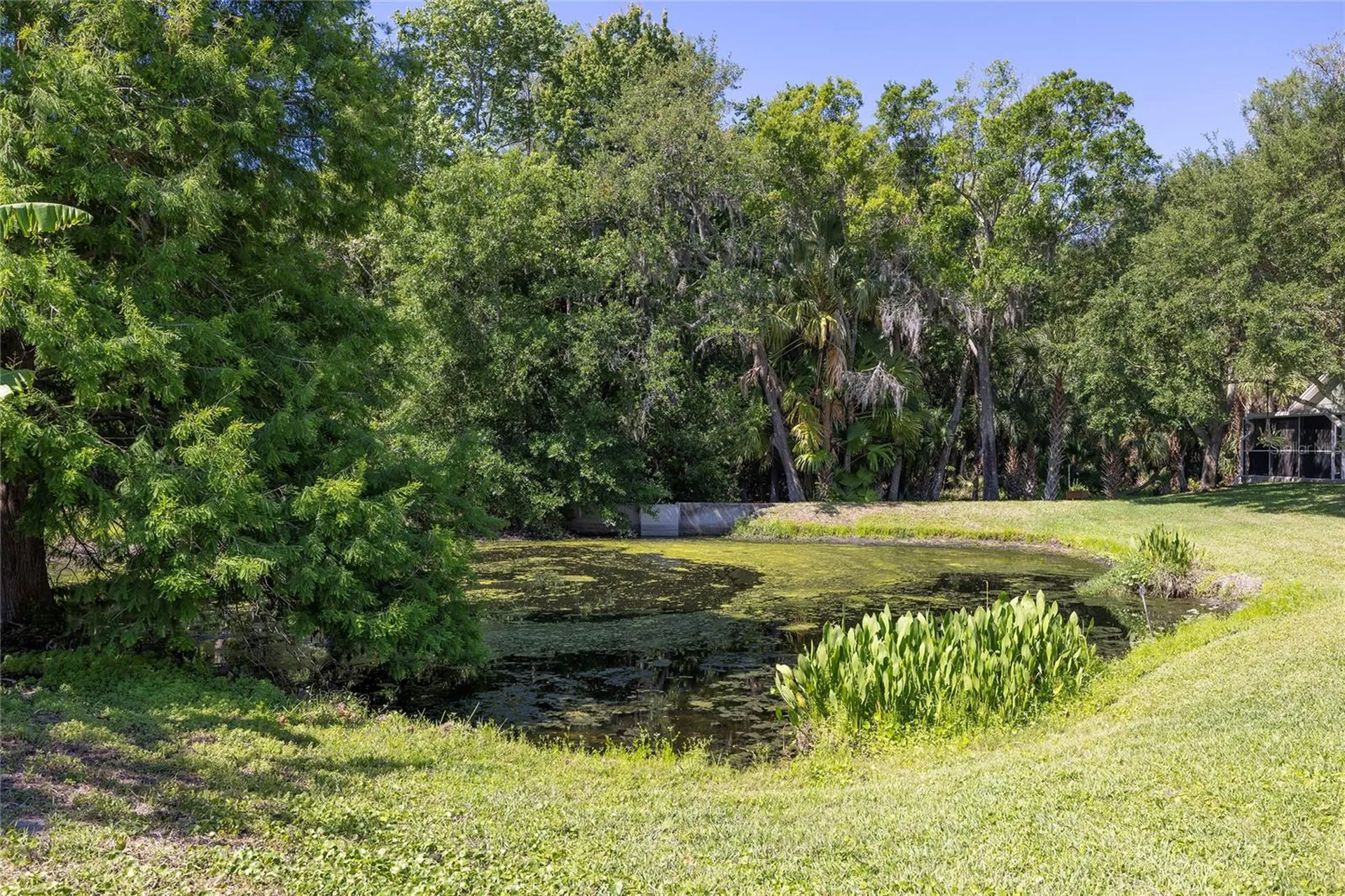 219 Bay Arbor Boulevard Oldsmar FL 34677