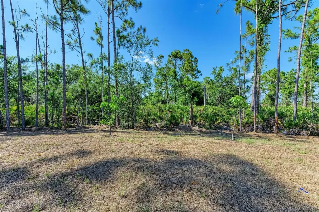23444 Steeple Avenue Punta Gorda FL 33980