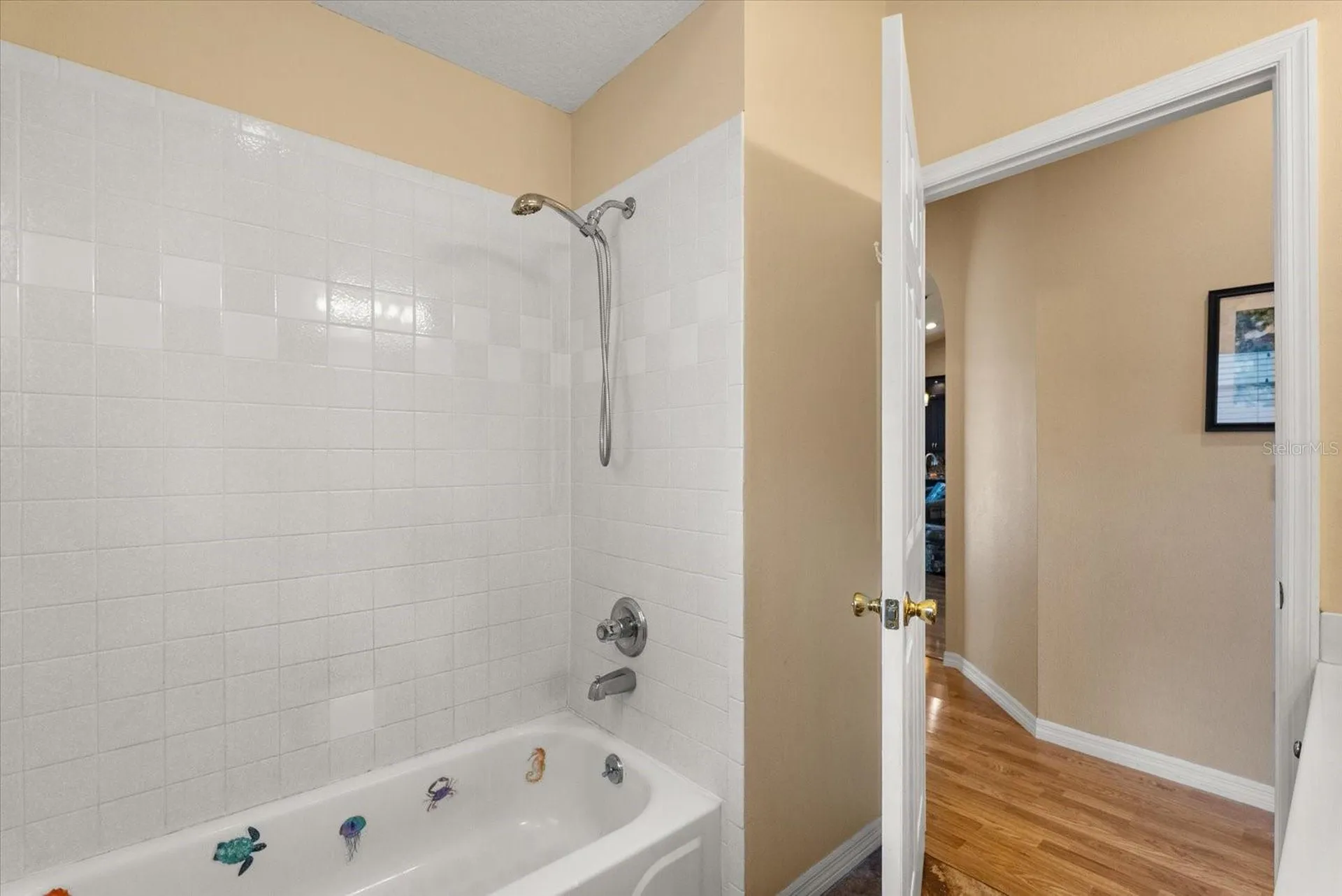 3377 Sterling Lake Circle Oviedo FL 32765